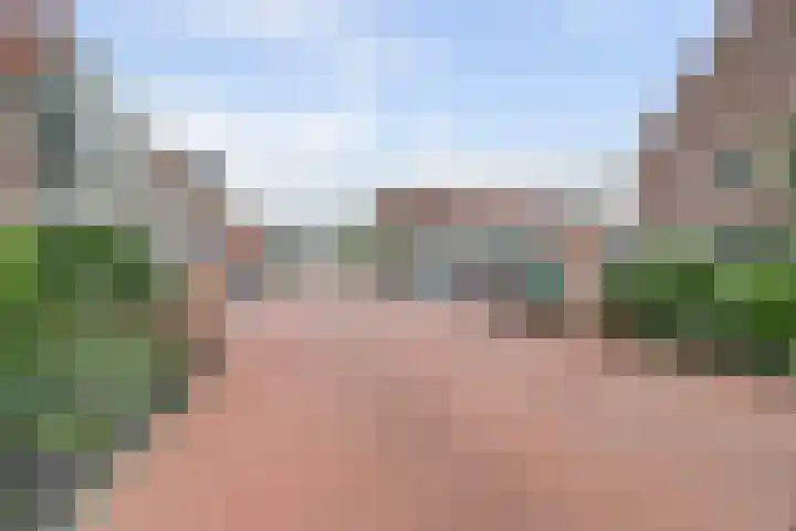 Palissanderhout 100 Waddinxveen thumbnail 33