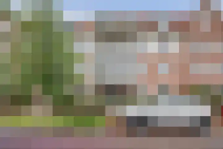 Palissanderhout 100 Waddinxveen thumbnail 34