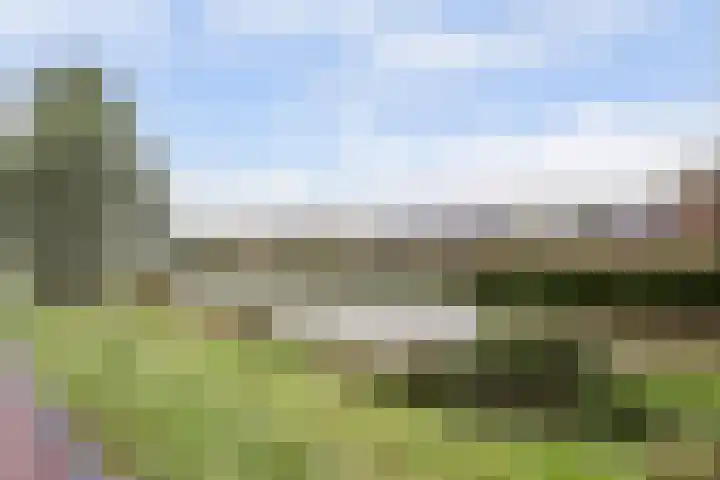 Palissanderhout 100 Waddinxveen thumbnail 35