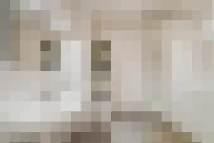 Palissanderhout 100 Waddinxveen thumbnail 4