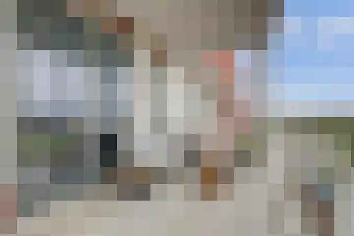 Palissanderhout 100 Waddinxveen thumbnail 5