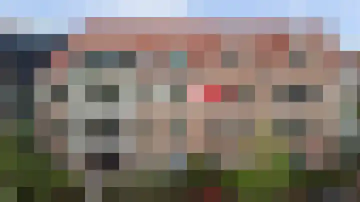 Palissanderhout 100 Waddinxveen thumbnail 6