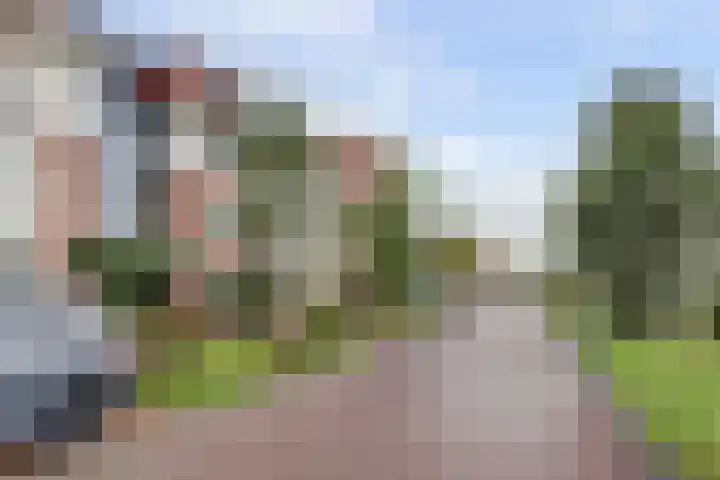 Palissanderhout 100 Waddinxveen thumbnail 7
