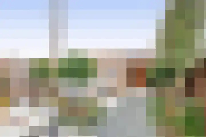 Palissanderhout 28 Waddinxveen thumbnail 20