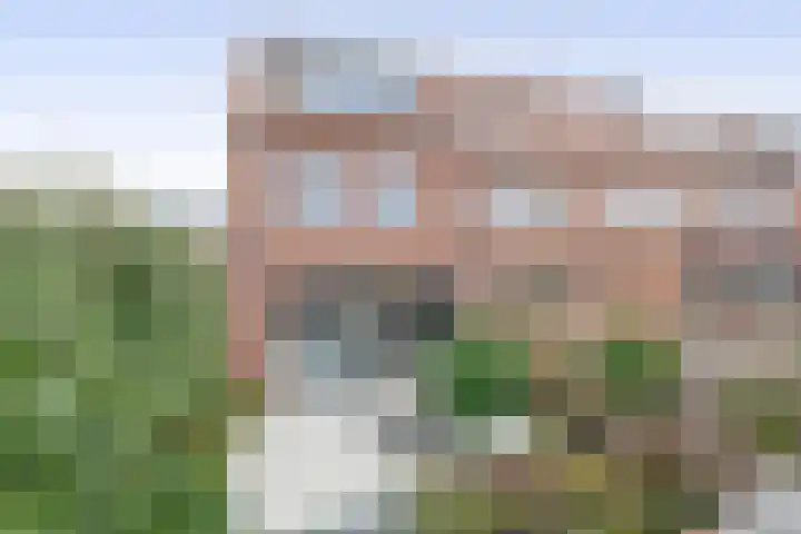 Palissanderhout 28 Waddinxveen thumbnail 21