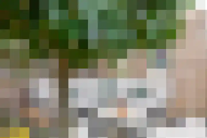 Palissanderhout 28 Waddinxveen thumbnail 22