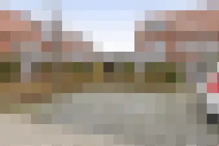 Palissanderhout 28 Waddinxveen thumbnail 37