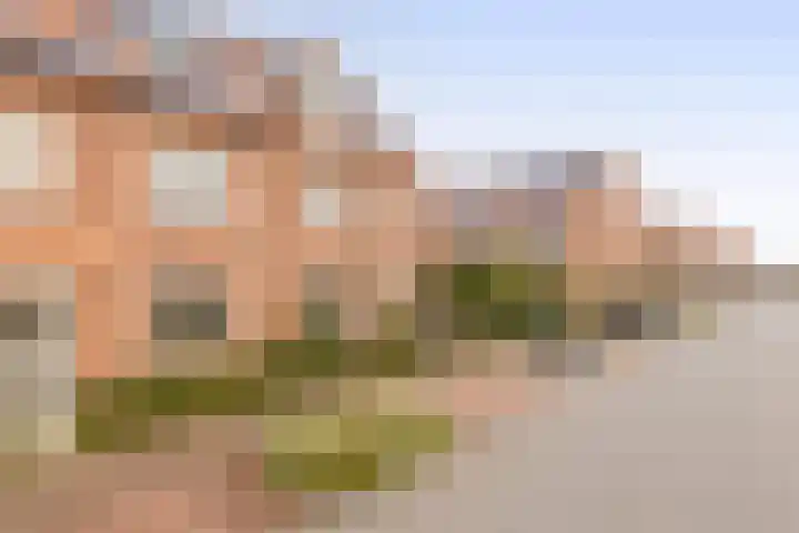 Palissanderhout 28 Waddinxveen thumbnail 38
