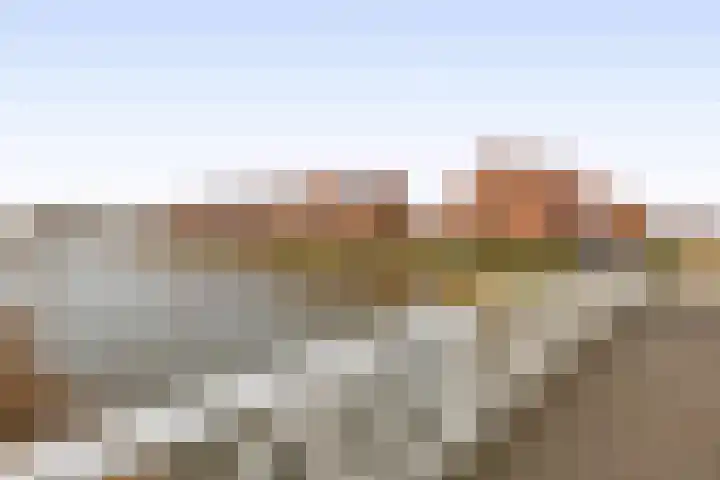 Palissanderhout 28 Waddinxveen thumbnail 39