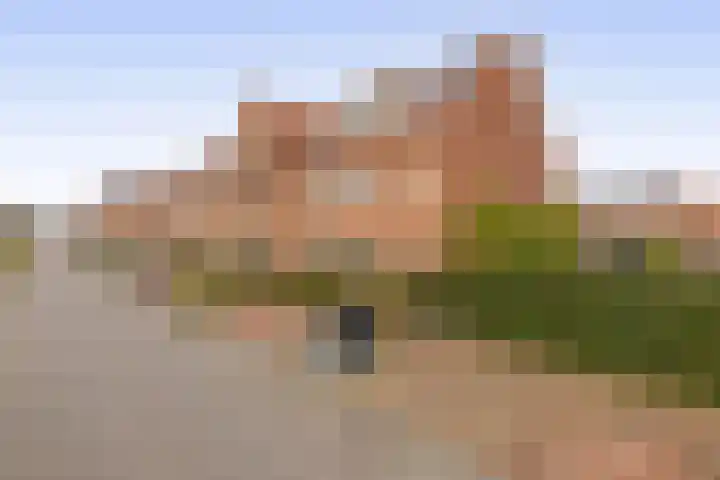Palissanderhout 28 Waddinxveen thumbnail 6
