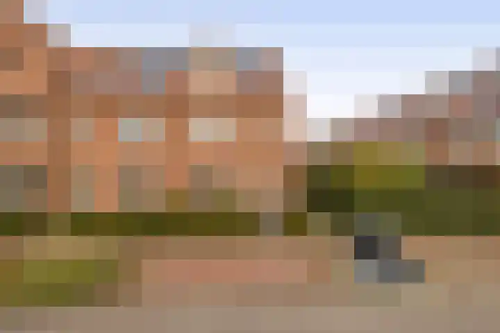 Palissanderhout 28 Waddinxveen thumbnail 7