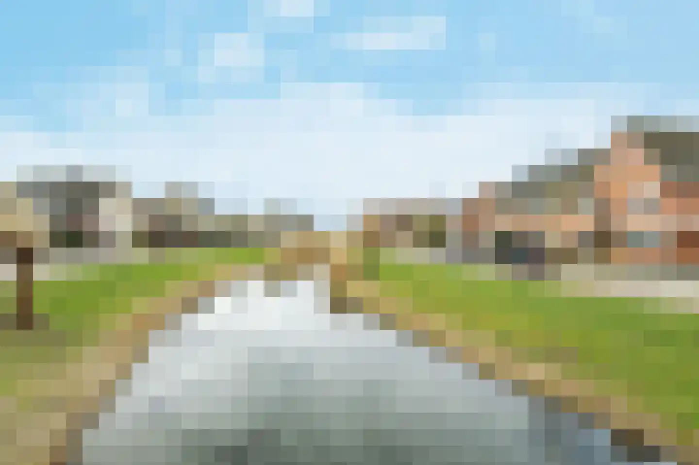 Palissanderhout 5 Barendrecht thumbnail 5