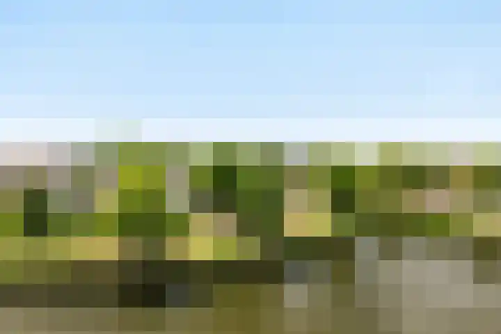 Palissanderhout 78 Barendrecht thumbnail 31