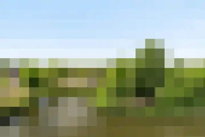 Palissanderhout 78 Barendrecht thumbnail 32