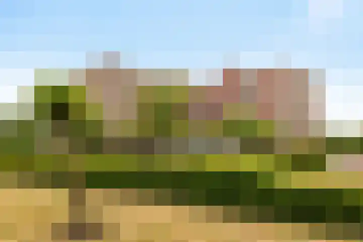 Palissanderhout 78 Barendrecht thumbnail 4
