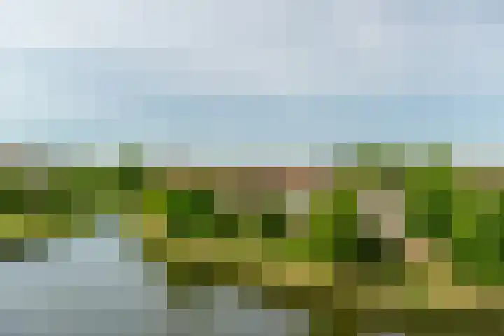 Palissanderhout 88 Barendrecht thumbnail 35