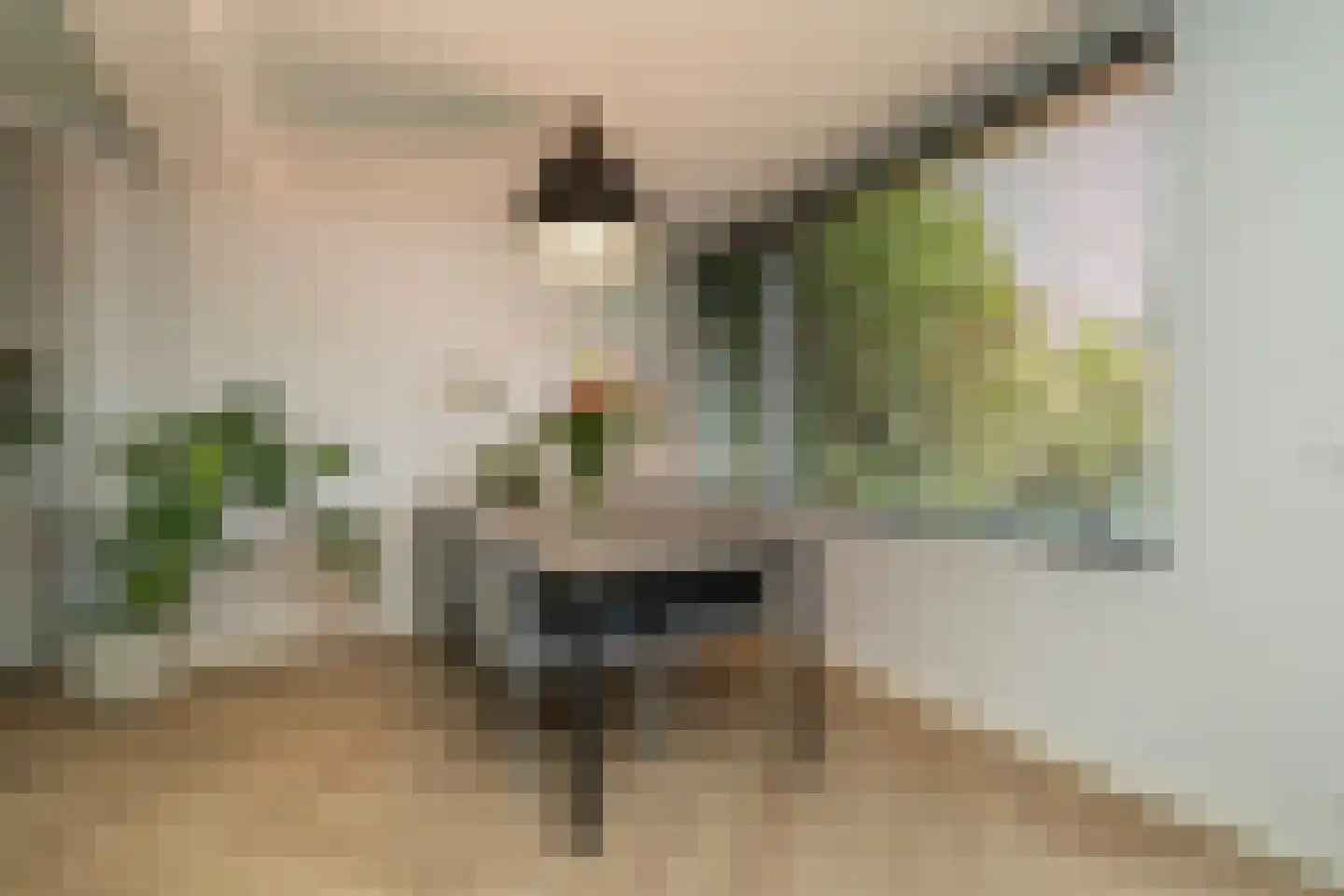 Palissanderstraat 8 Tilburg thumbnail 19