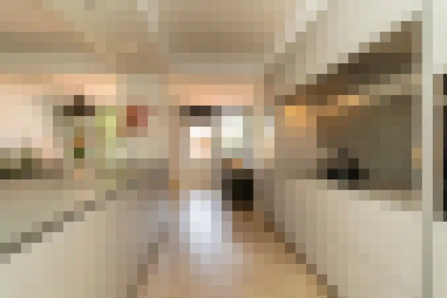 Palissanderstraat 8 Tilburg thumbnail 21