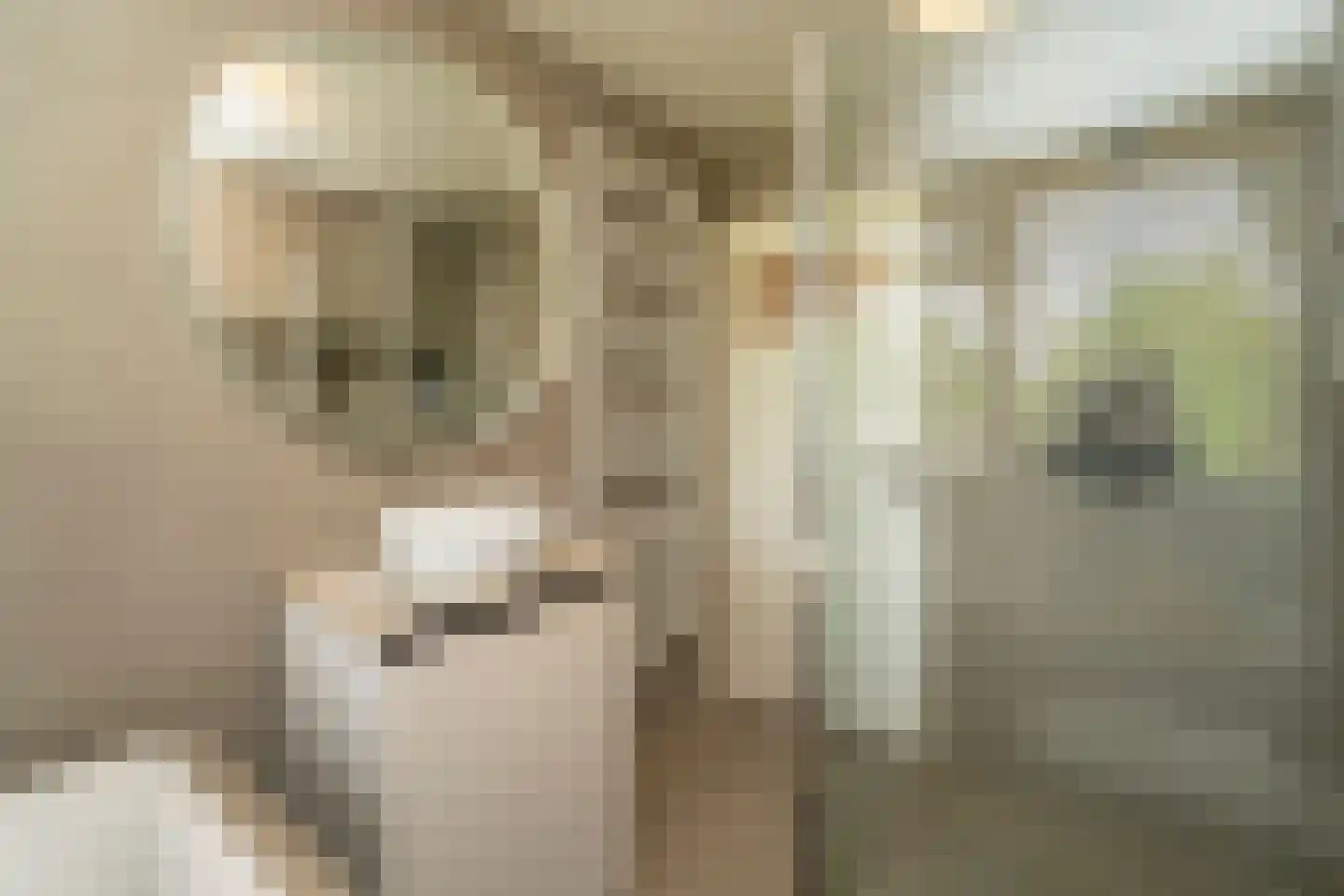 Palissanderstraat 8 Tilburg thumbnail 31