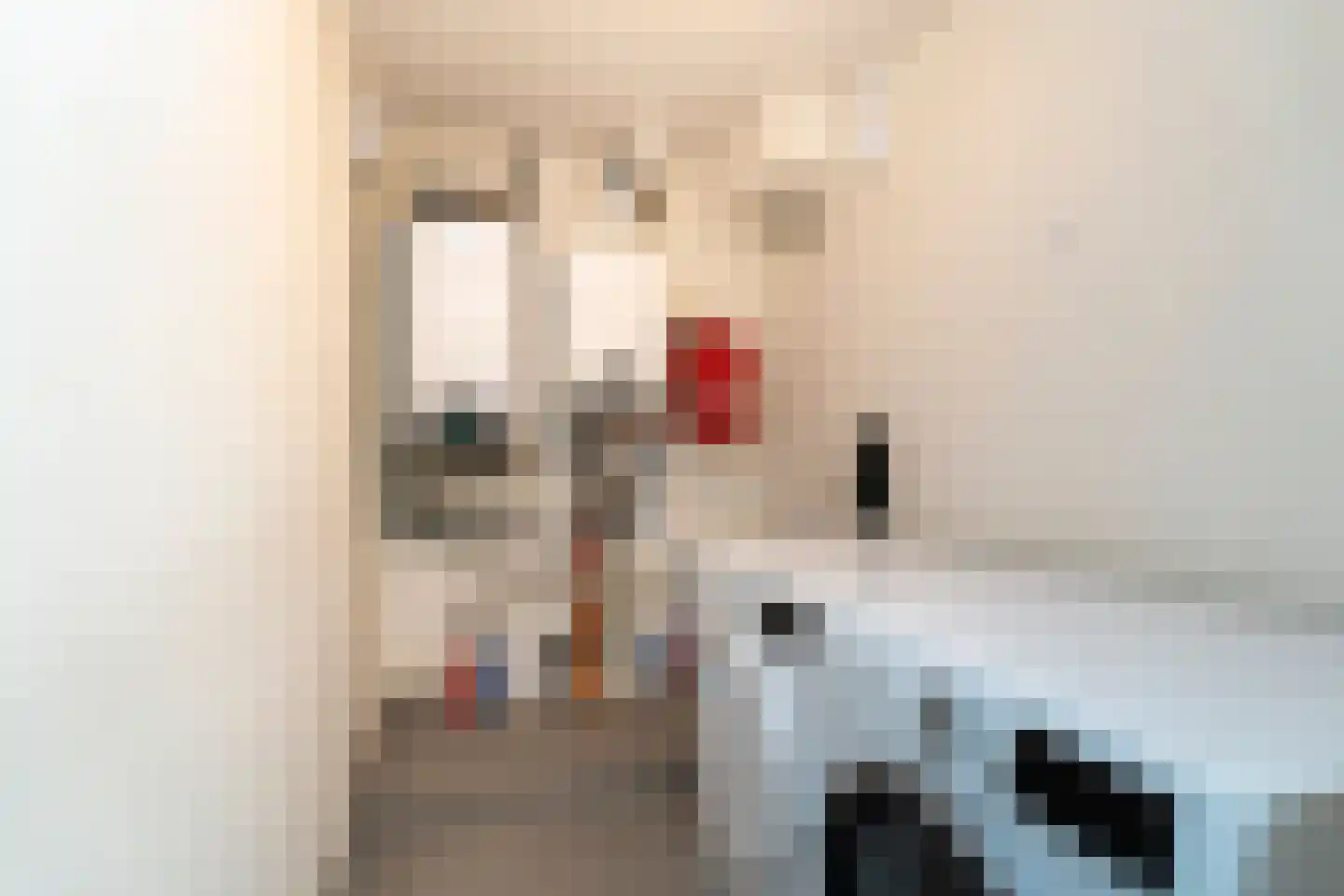 Palissanderstraat 8 Tilburg thumbnail 32