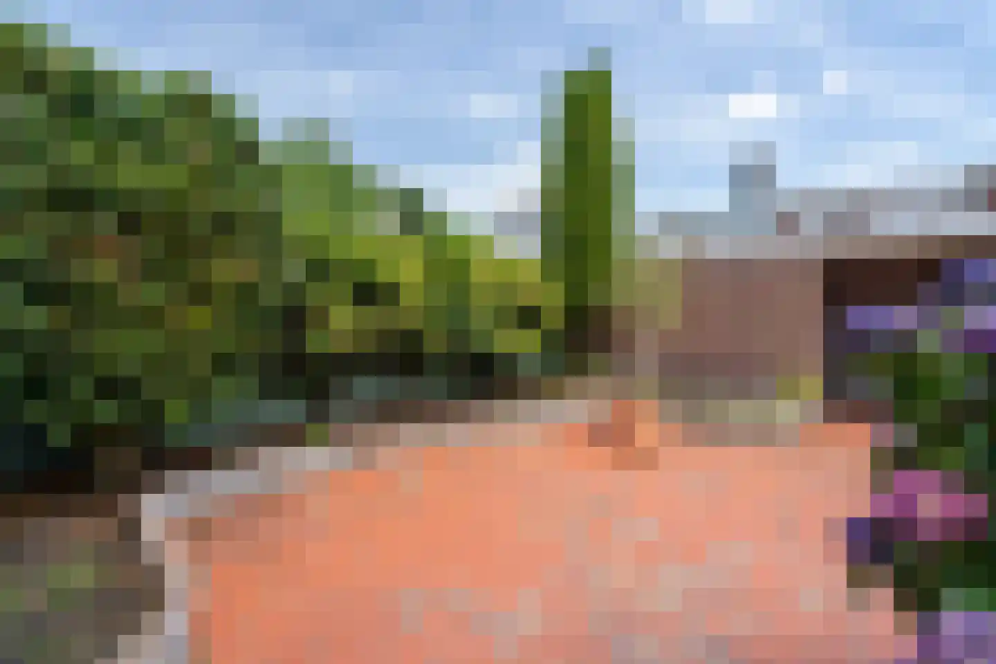 Palissanderstraat 8 Tilburg thumbnail 33
