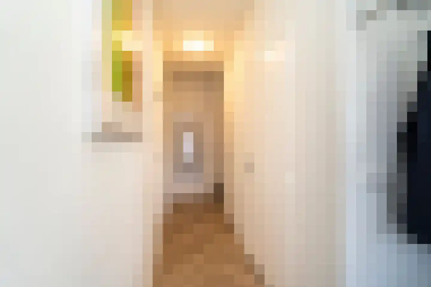 Palissanderstraat 8 Tilburg thumbnail 9