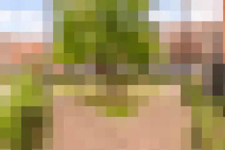 Palladio 2 Helmond thumbnail 24