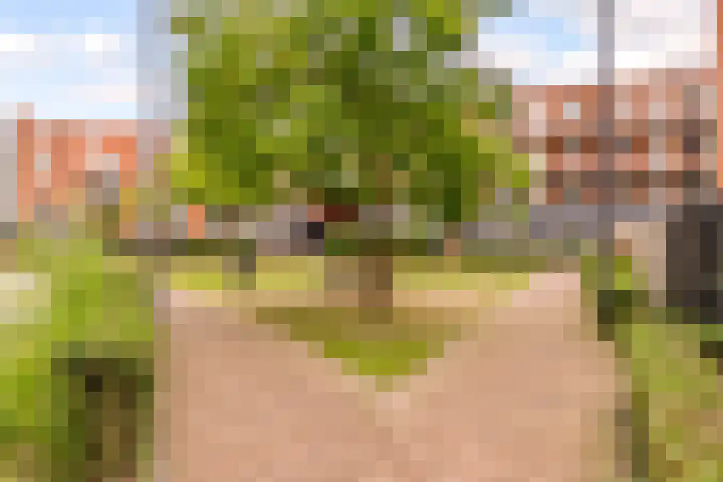 Palladio 6 Helmond thumbnail 33