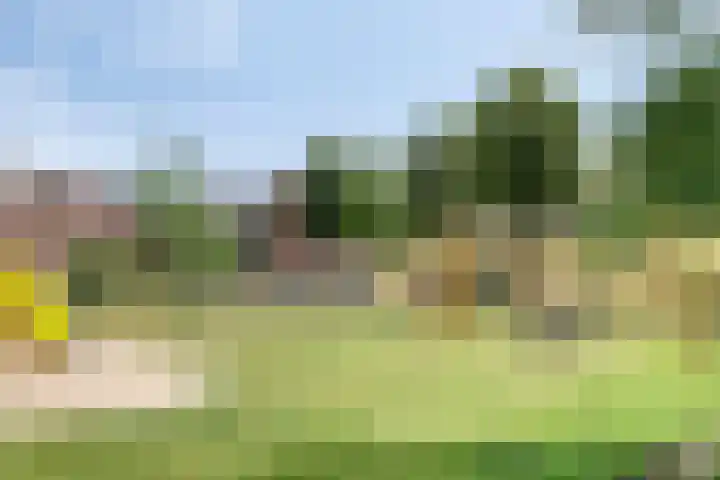 Palladio 68 Helmond thumbnail 41