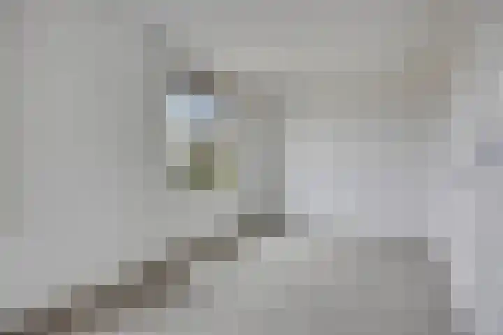 Palladio 73 Helmond thumbnail 21