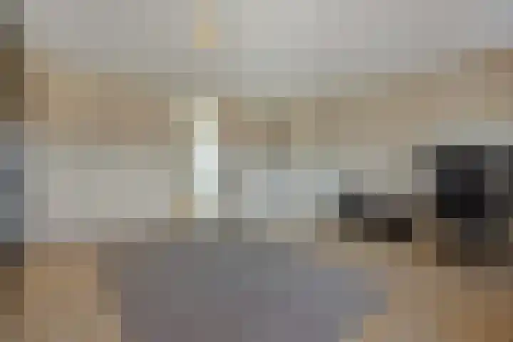 Palladio 74 Helmond thumbnail 31