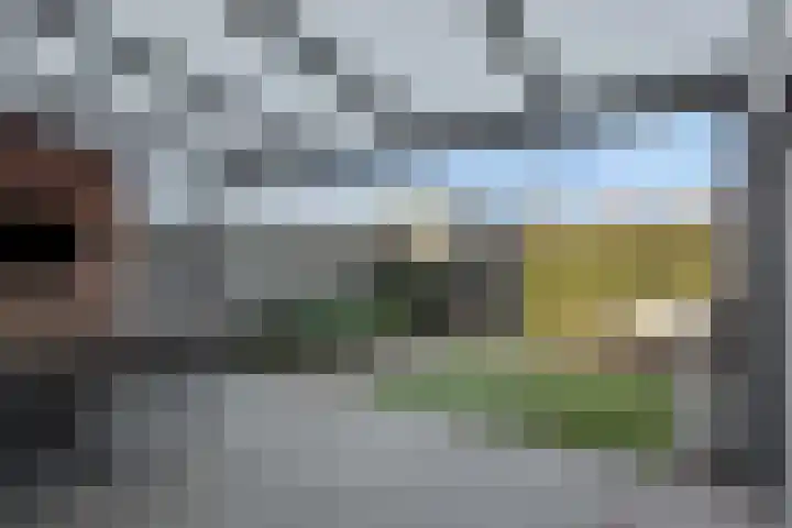 Palladio 74 Helmond thumbnail 35