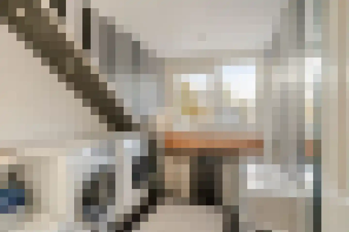 Palladiostraat 70 Amersfoort thumbnail 33
