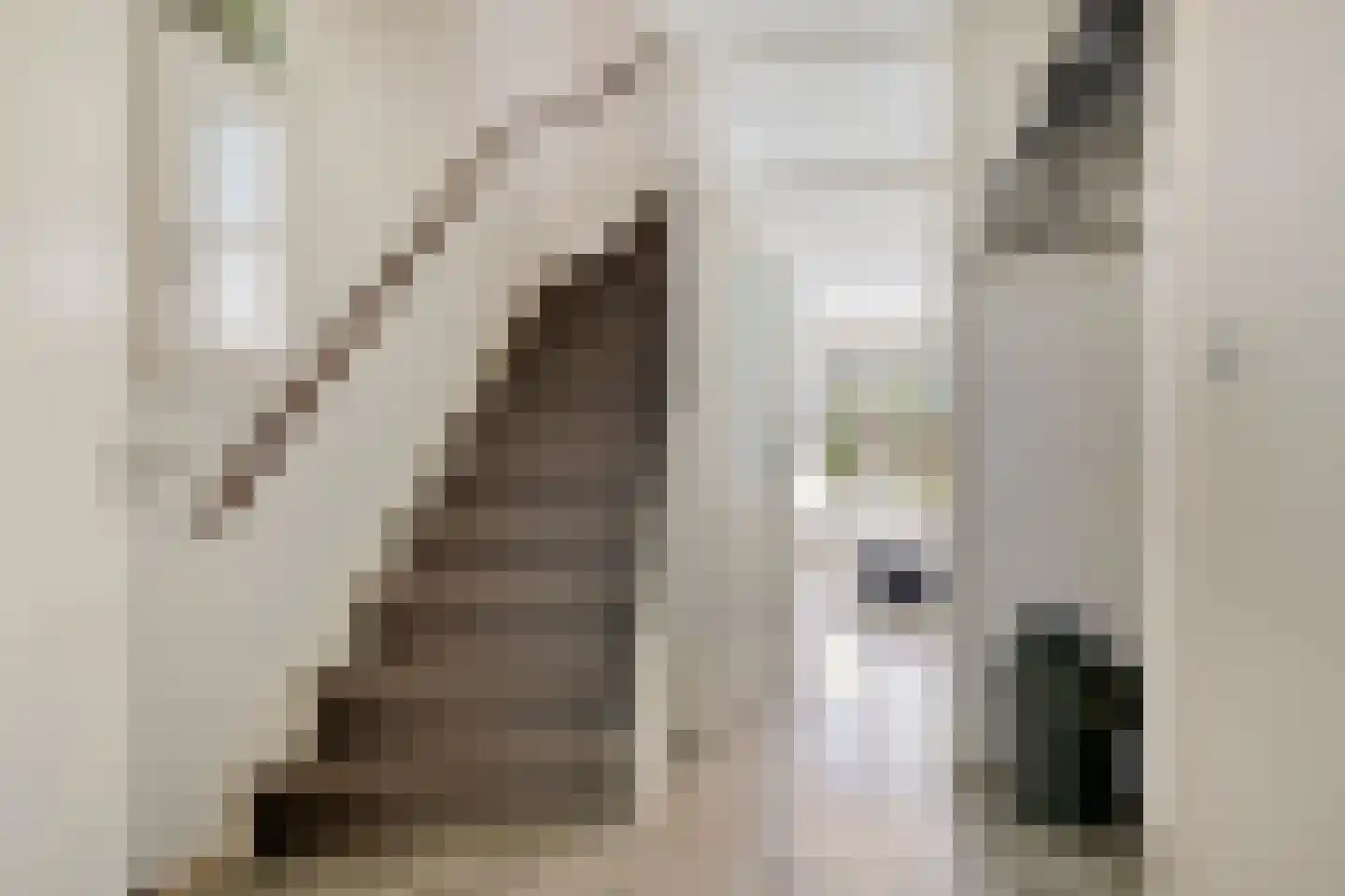 Palladiostraat 90 Amersfoort thumbnail 12
