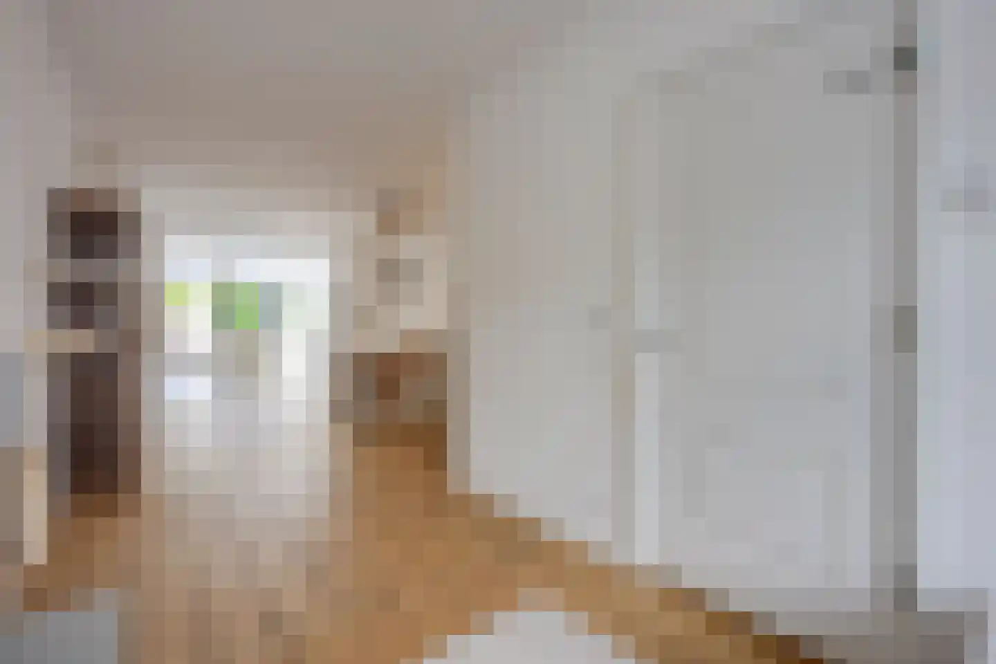 Pallaesstraat 18 Utrecht thumbnail 10