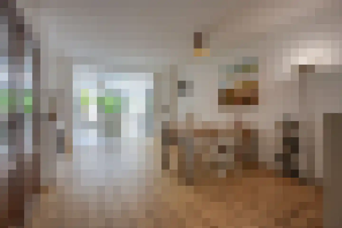 Pallaesstraat 18 Utrecht thumbnail 13