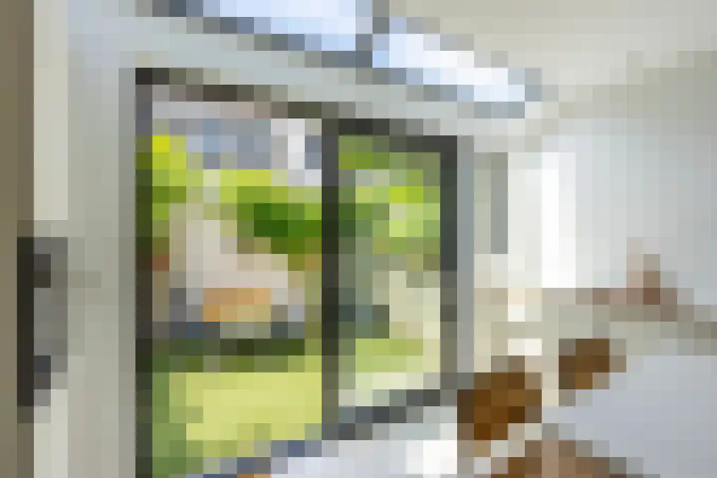 Pallaesstraat 18 Utrecht thumbnail 19