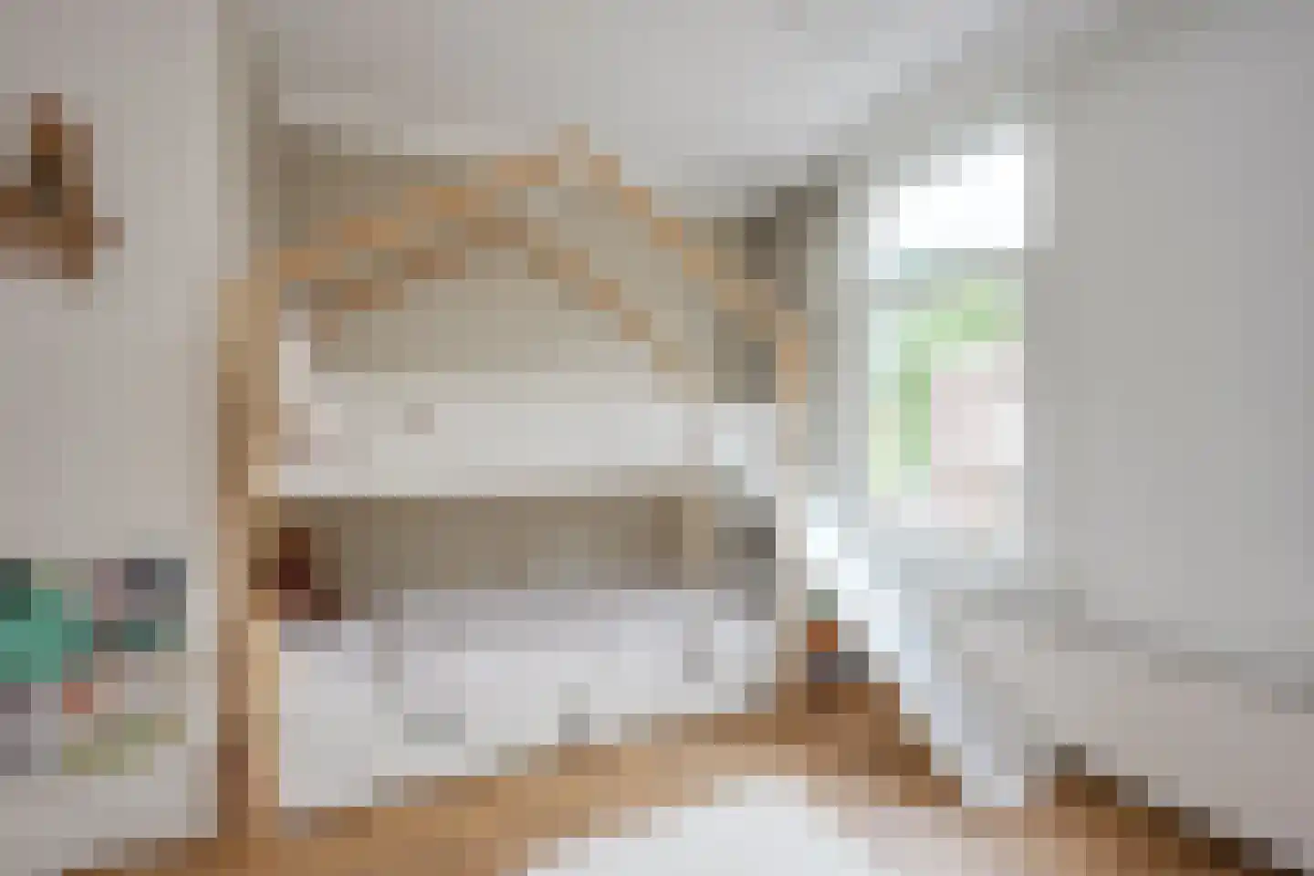 Pallaesstraat 18 Utrecht thumbnail 27