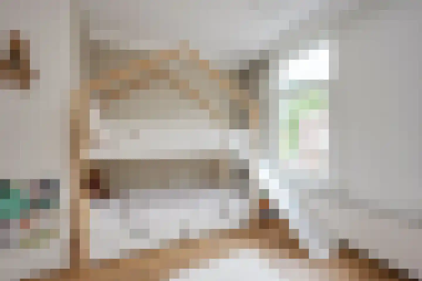 Pallaesstraat 18 Utrecht thumbnail 27