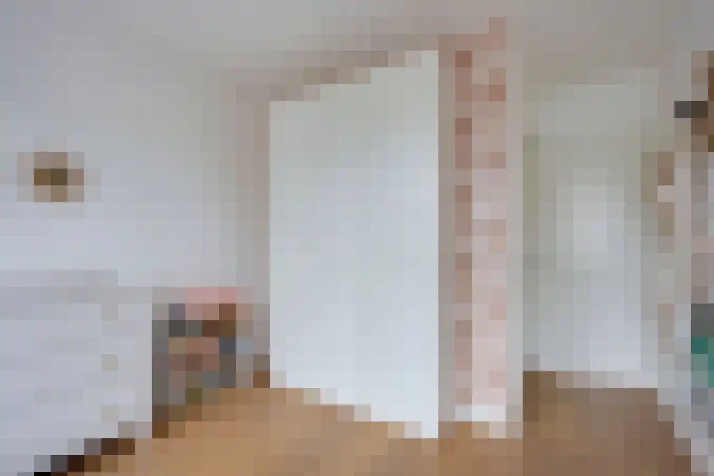Pallaesstraat 18 Utrecht thumbnail 28