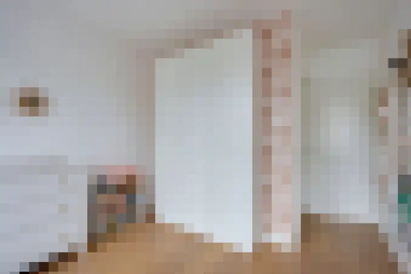 Pallaesstraat 18 Utrecht thumbnail 28