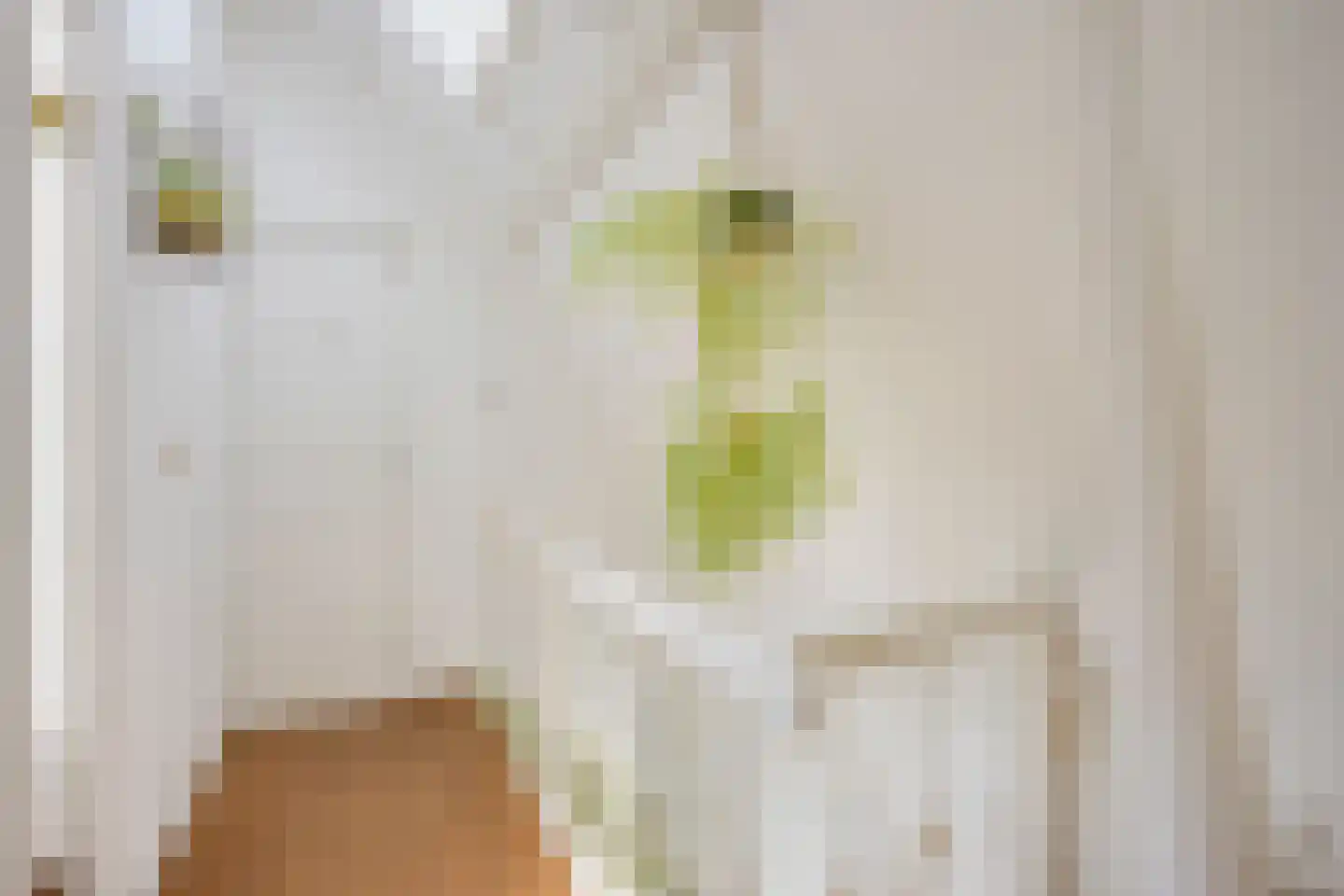 Pallaesstraat 18 Utrecht thumbnail 36