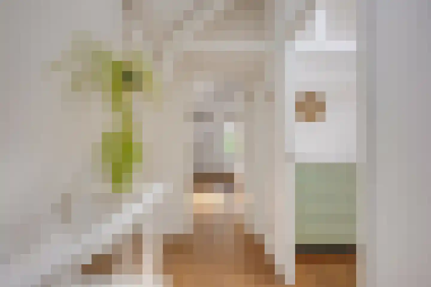 Pallaesstraat 18 Utrecht thumbnail 37