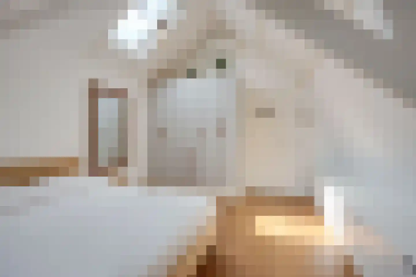 Pallaesstraat 18 Utrecht thumbnail 38