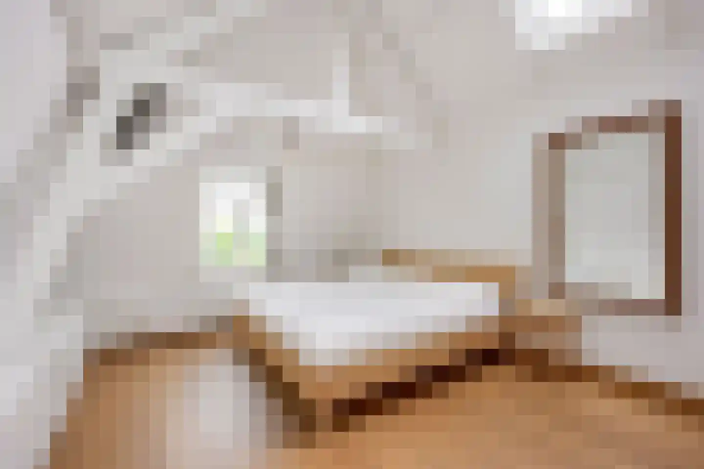 Pallaesstraat 18 Utrecht thumbnail 40