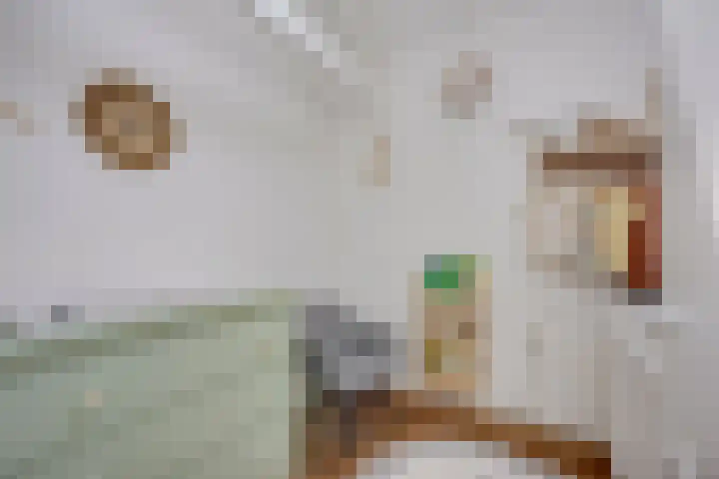 Pallaesstraat 18 Utrecht thumbnail 41