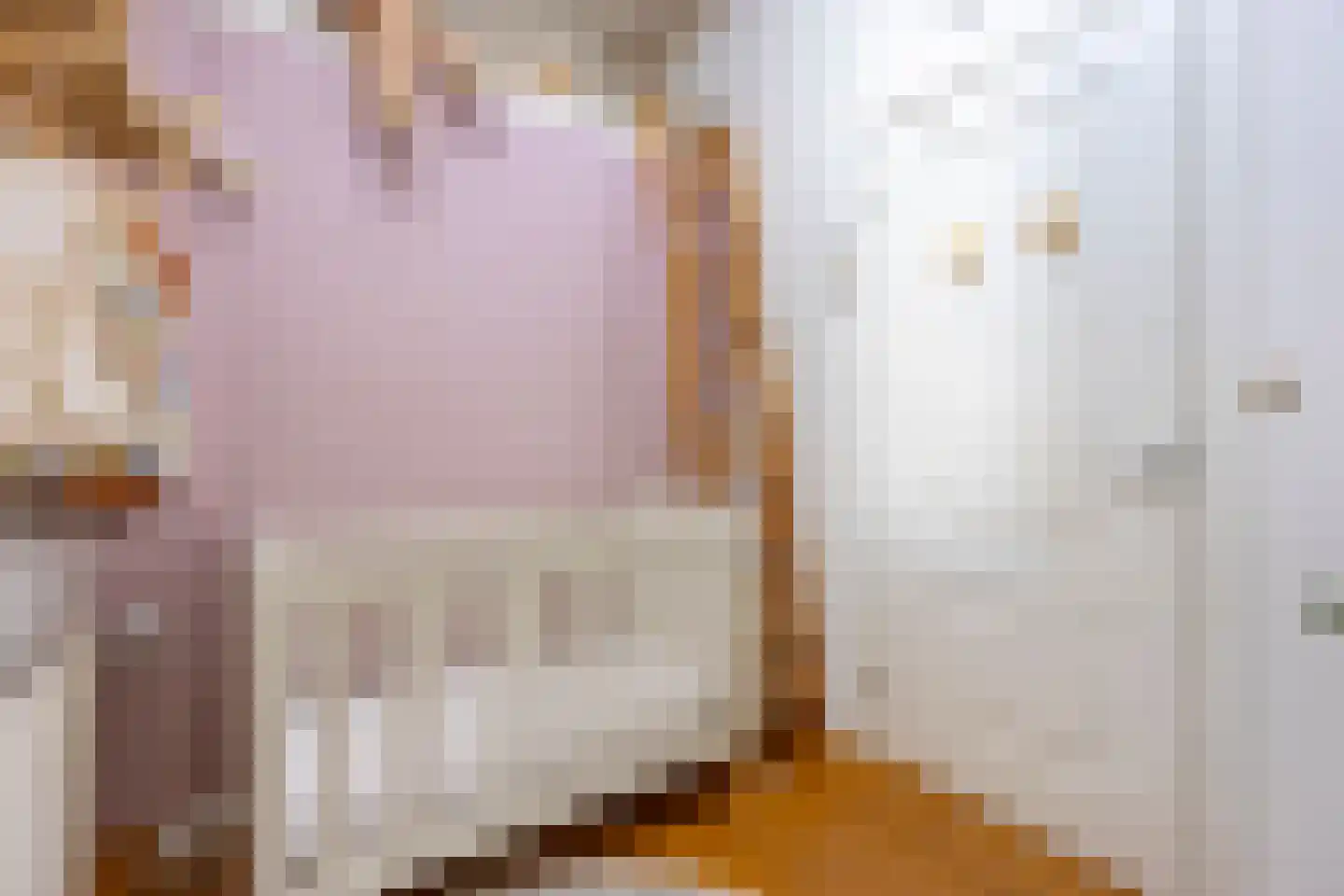 Pallaesstraat 18 Utrecht thumbnail 42