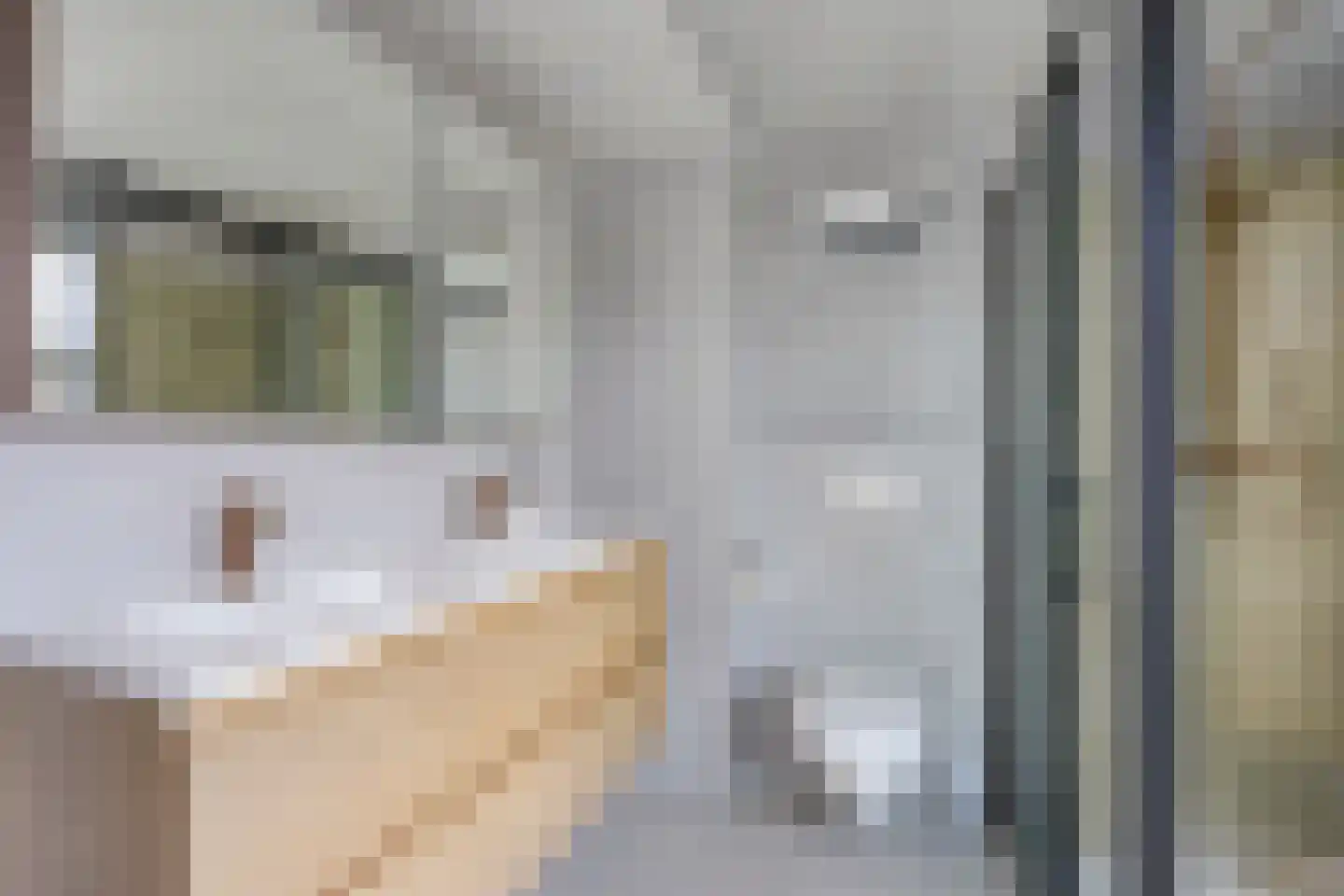 Pallaesstraat 18 Utrecht thumbnail 43