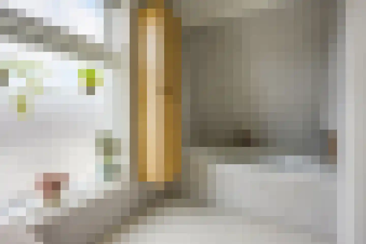 Pallaesstraat 18 Utrecht thumbnail 45