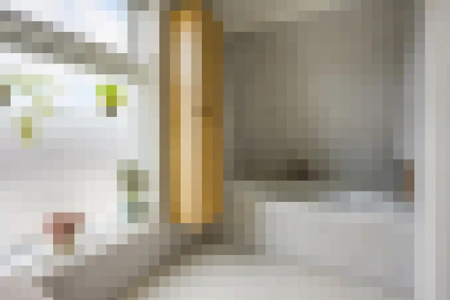 Pallaesstraat 18 Utrecht thumbnail 45